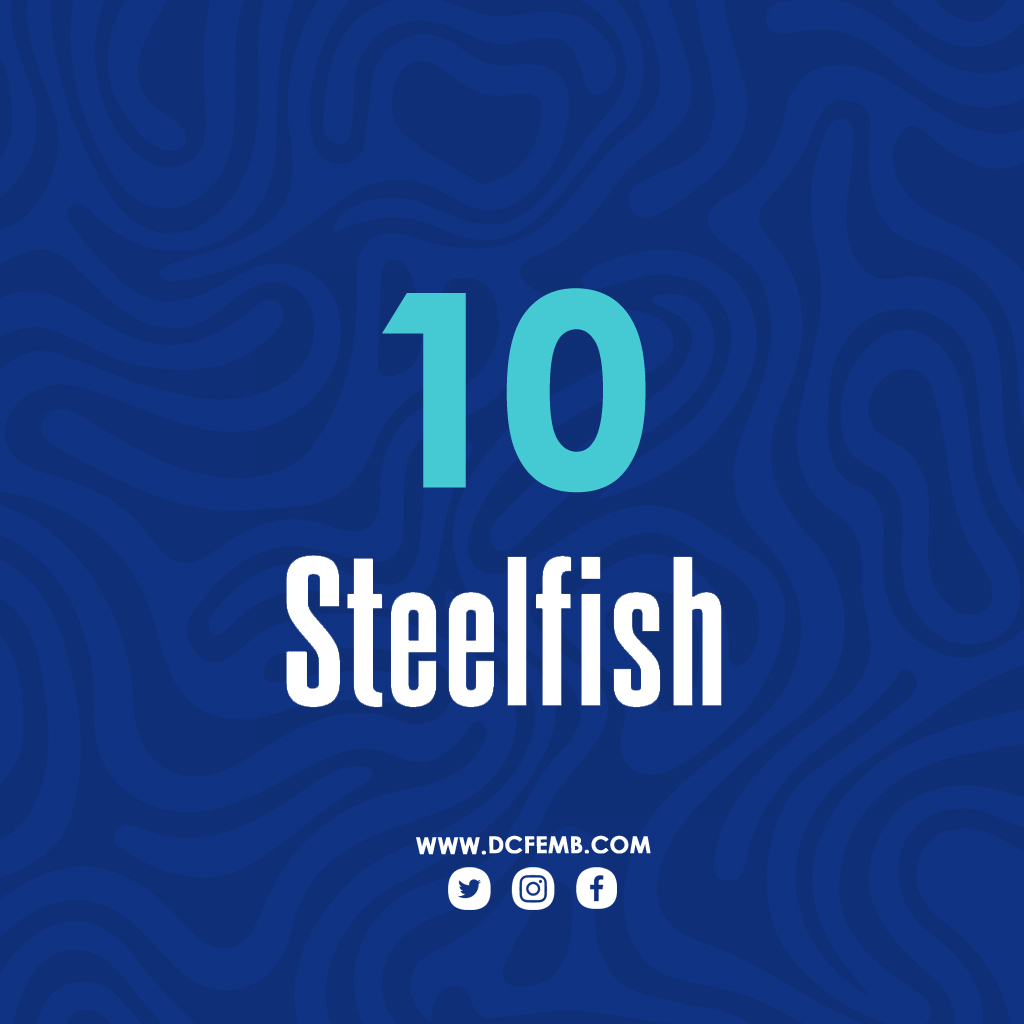 Steelfish Font
