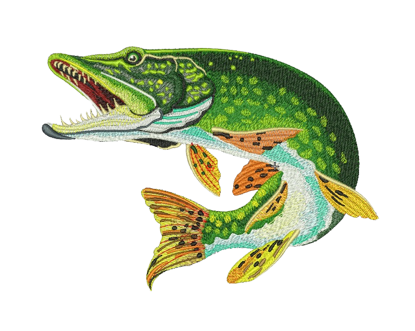Pet Portrait